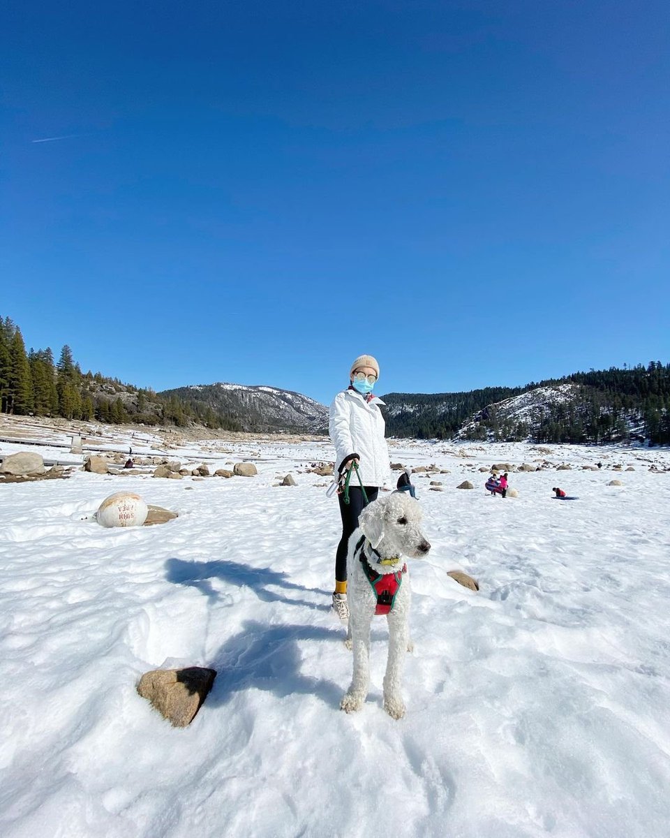 Visit Tuolumne County tweet media