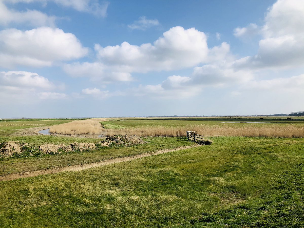 eastcoastbimble's tweet photo. Burgh Castle Roman Ruins. I didn’t even know this place existed until a few weeks back but it’s a top bimble 👌 @runningpunks #run #runner #running #norfolkrunning #suffolkrunning #norfolk #suffolk #eastanglia #trails #trailrunning #fitness #runnersofinstagram #burghcastle #ruins https://t.co/ZXc8g8i16w