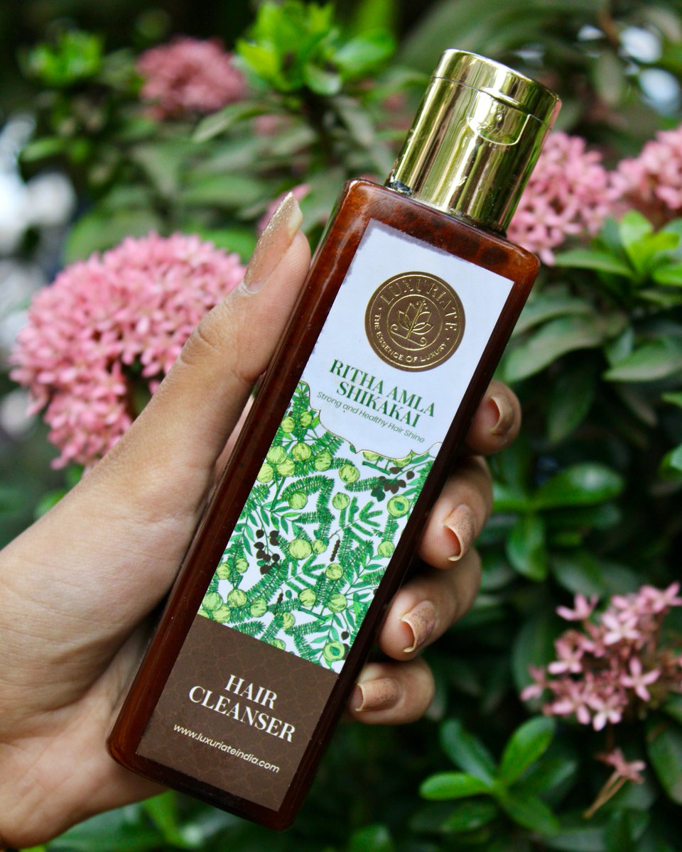 mehakkkj tweet media