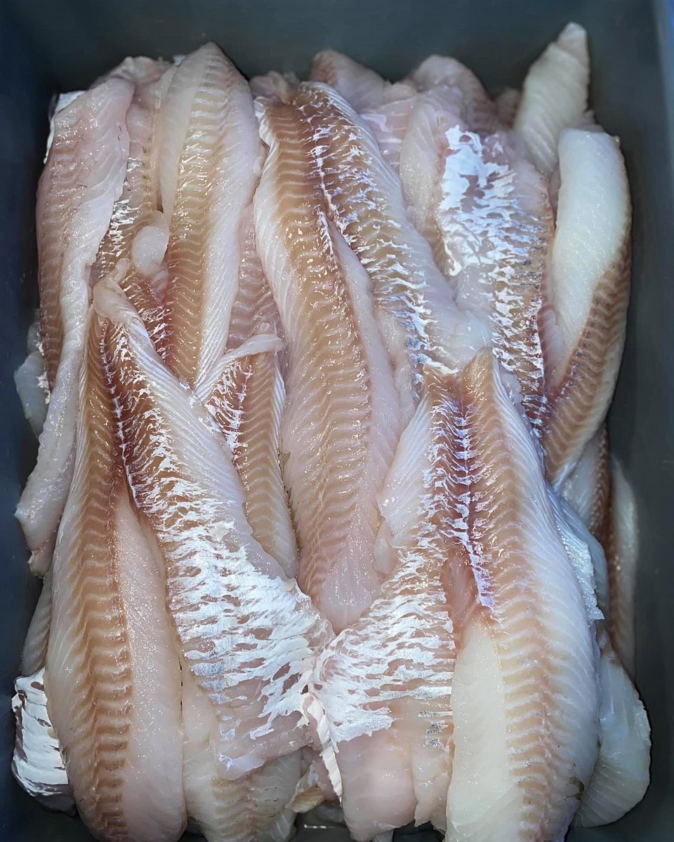 TaylorsFishMar1's tweet image. Happy Tuesday! Fresh local cod fillets and fresh local halibut steaks available today!!! What a treat!!! We’re open until 5pm! #local #cod #codfillets #halibut #fresh #nlseafood #conceptionbaysouth #buylocal @nancy_w_taylor @K_Eliza_T