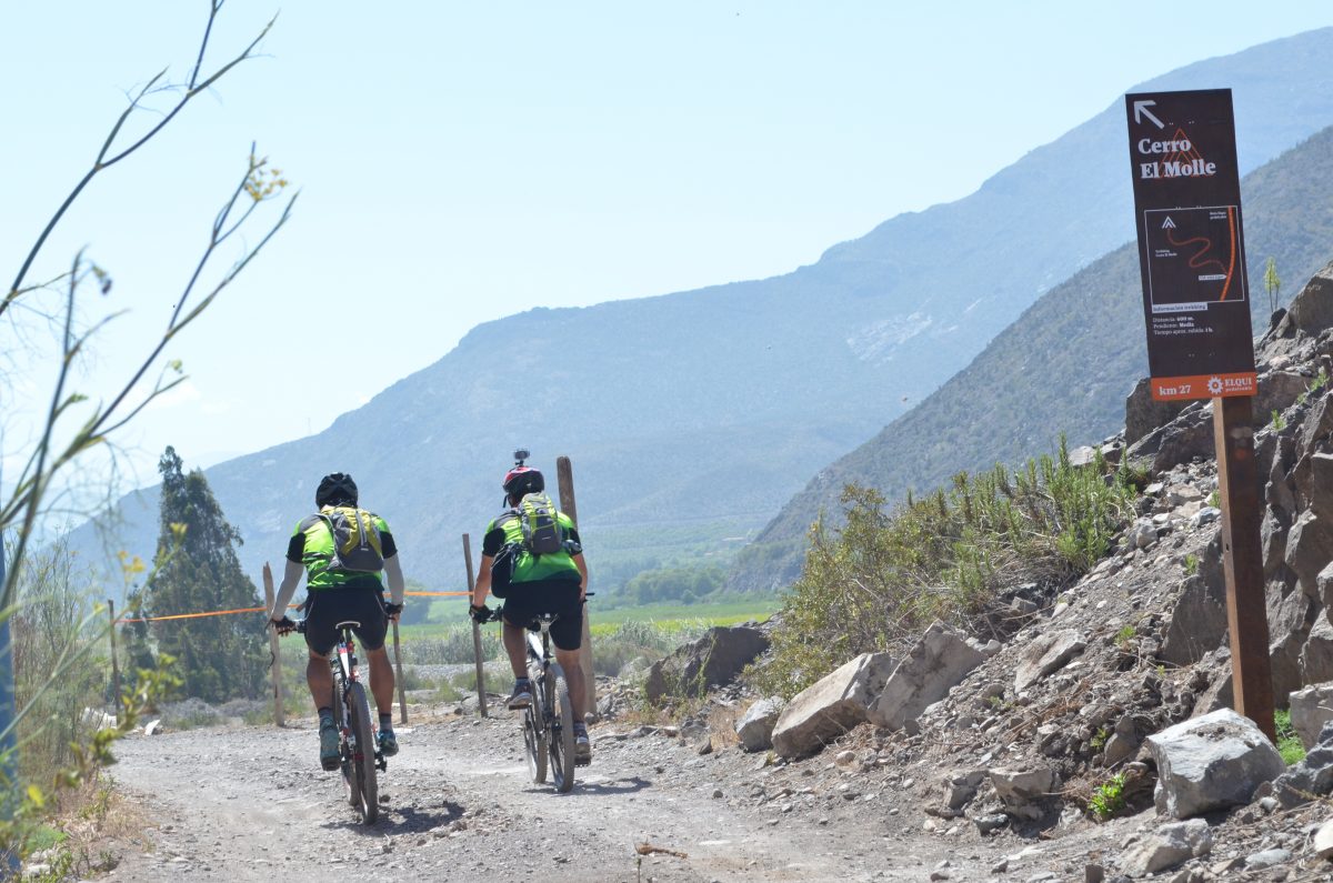 Pedaleable.org tweet media