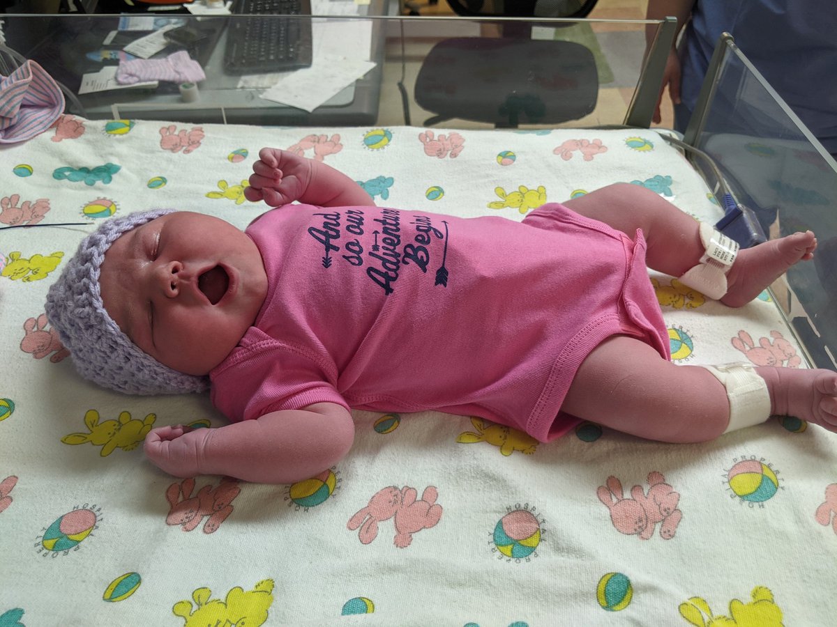 Muffinxman66's tweet photo. Well I may be missing a few days of streaming, but I'll have a new co star when I return. Because, mini muffin has arrived!! #NewBorn #twitch #twitchaffiliate #Babygirls #babyava https://t.co/Sq5jPWLP0W