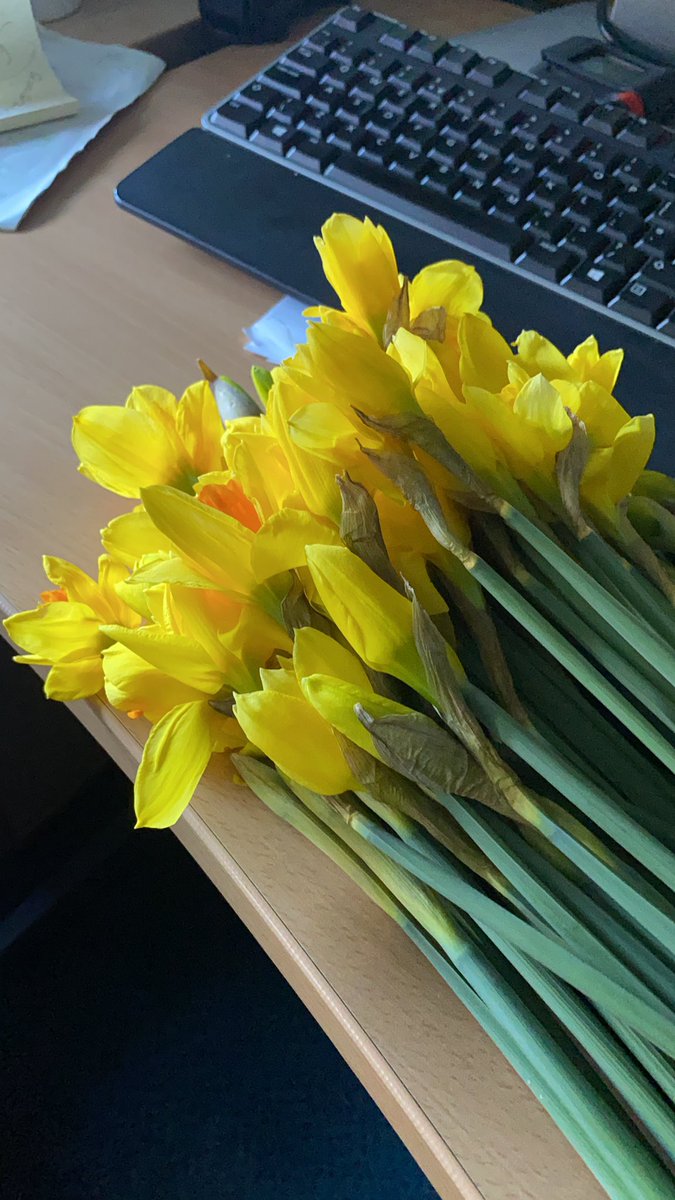 joan bagunu (@joannayanbagunu) on Twitter photo Daffodils to brighten up our day. Thank you @StGeorgesTrust <a href="/mariecurieuk/">Marie Curie</a> #nationaldayofreflection Daffodils to brighten up our day. Thank you @StGeorgesTrust <a href="/mariecurieuk/">Marie Curie</a> #nationaldayofreflection
