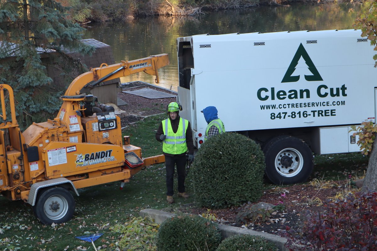CleanCutTree's tweet image. In addition to clearing the land completely, professional land clearers can also do selective cutting. Selective cutting allows you to leave high quality trees, while harvesting and removing trees that are of lower quality or of a different species than you want.