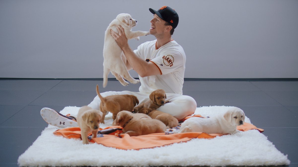 SFGiants's tweet photo. This photo never gets old. #NationalPuppyDay https://t.co/qxiXqyXbIR