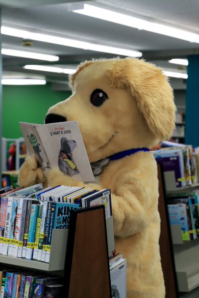 OlympusGroup's tweet image. It's #NationalPuppyDay! Browser has been busy reading all about puppies today. Follow his lead and check out the dog mascots we've created: ow.ly/CpV550DPpKT 

#custommascots #mascotcostumes