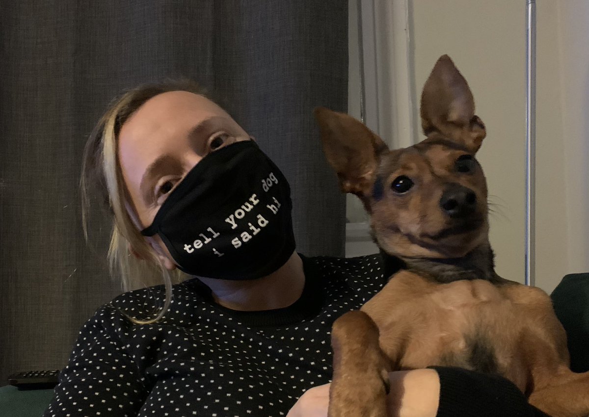ZoeBronwen's tweet photo. @dog_rates https://t.co/EZx2kdwb66