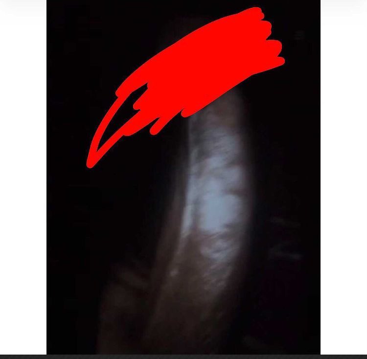 Gistloversblog1's tweet photo. Who get this P*nis🤣🤣🤣
Hint: Wife tall pass husband small,they be flaunting on every social media app and all socio media children will be shouting God when🤣🤣buying gift and videoing it. Even bought iPhone still video am🤣🤣them get one small fine pikin. https://t.co/OKpWovlKQ1