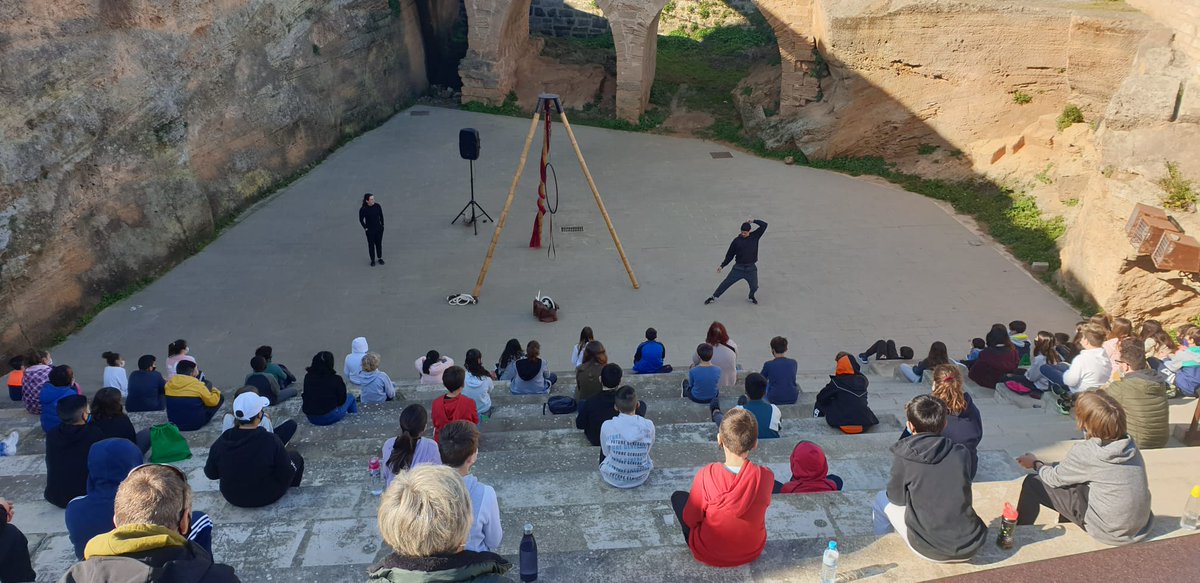 fibwi Diario tweet media