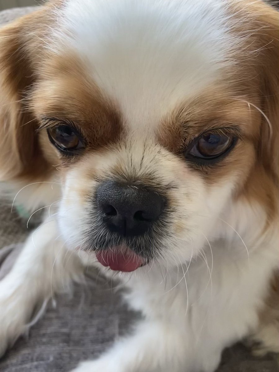 Gill Oakley tweet media