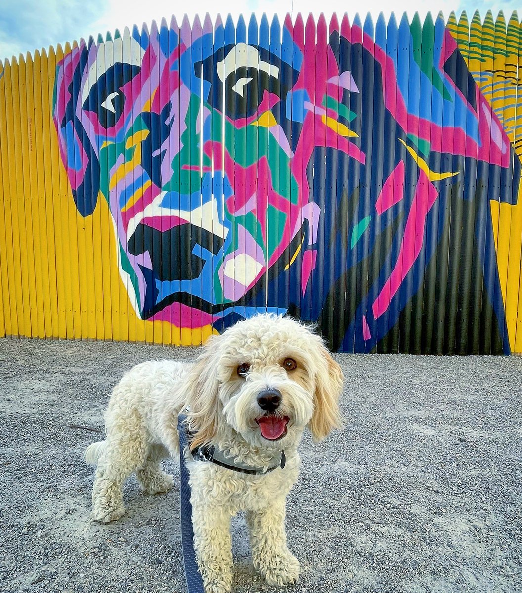 Happy #NationalPuppyDay! 🐶💕