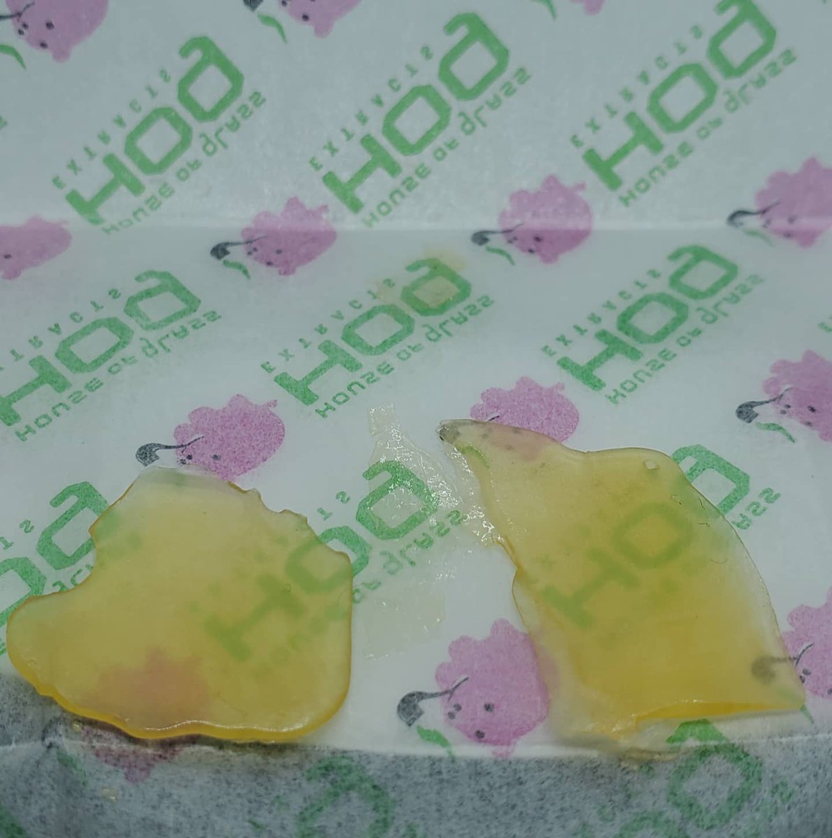 CannabuddiesCAN's tweet photo. It's #TokinTuesday #Cannabuddies!💨

What are you #tokin on today? Comment and let me know!

Today I have some #Candyland #shatter from House of Glass #Extracts to show you that I got from @SpeedGreens! 🍬

🤑Grab yourself a coupon code on our website and get yourself some today! https://t.co/JA1JtHRfdh
