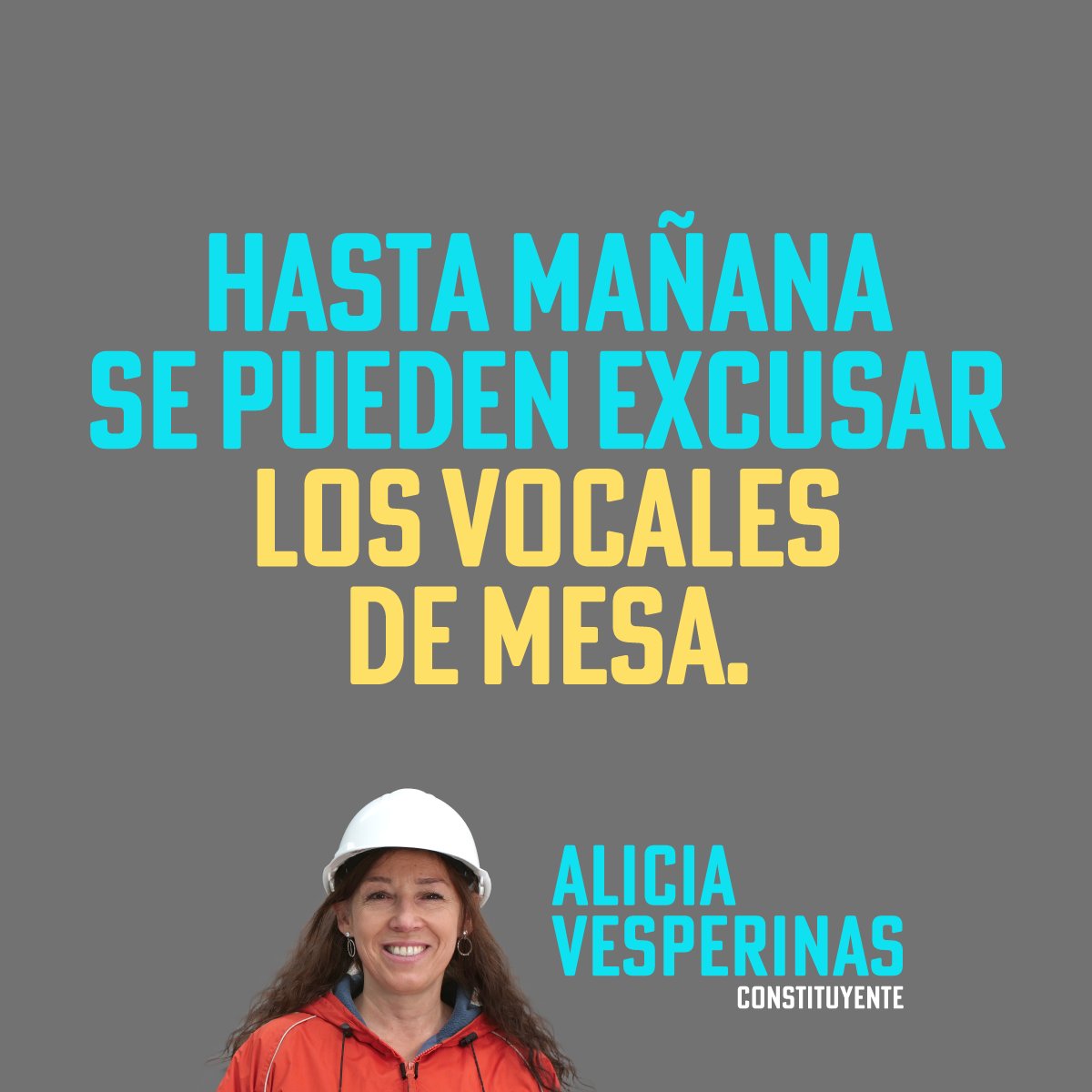 Quienes hayan resultado elegidos vocales de mesa, pero estén en alguna de las causales contempladas por la ley 18.700 para excusarse de cumplir ese rol, tendrán plazo hasta mañana para hacerlo en:

consulta.servel.cl
servel.cl
elecciones2021.servel.cl
