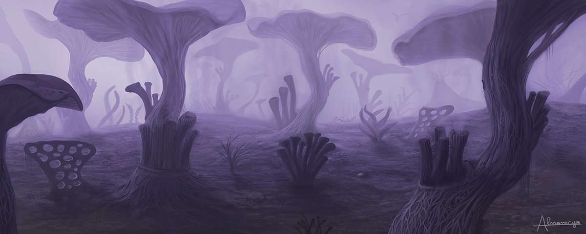 alnomcys's tweet photo. Une #illustration d'#environnement que j'ai faite il y a quelques temps pour #Emysfer le #jdr.
#digitalart #digitalpainting #forest #mushroom https://t.co/aOMcsJ4Fqh