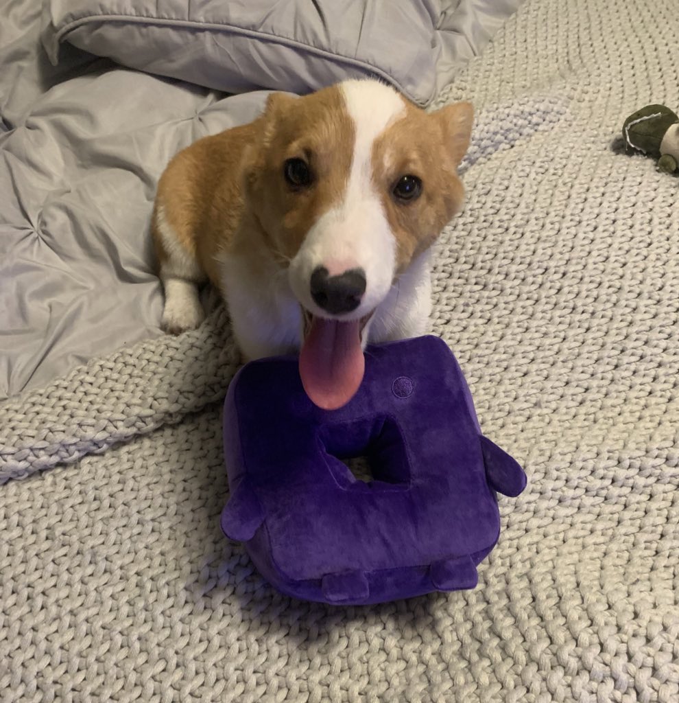 NZXT's tweet photo. Happy #NationalPuppyDay! 

Retweet this post and reply with a photo of your pup for a chance to win a pucci plush! https://t.co/oP7s7SBJOM