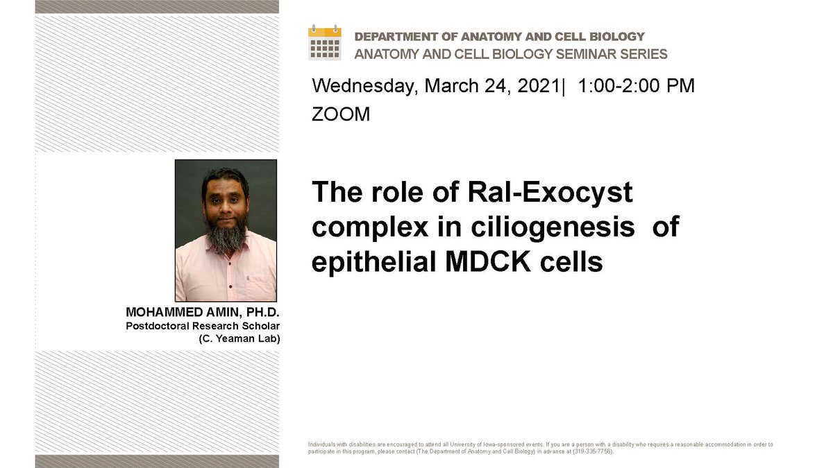 UIowaACB's tweet photo. #UIowaACB Departmental Seminar
Wednesday, March 24, 2021; 1:00 pm, via Zoom
Mohammed Amin, PhD, Postdoctoral Research Scholar (Yeaman Lab), will present “The role of Ral-Exocyst complex in ciliogenesis of epithelial MDCK cells.”
@IowaMed @uiowabiomed @uihealthcare https://t.co/kzt7CQvDrY