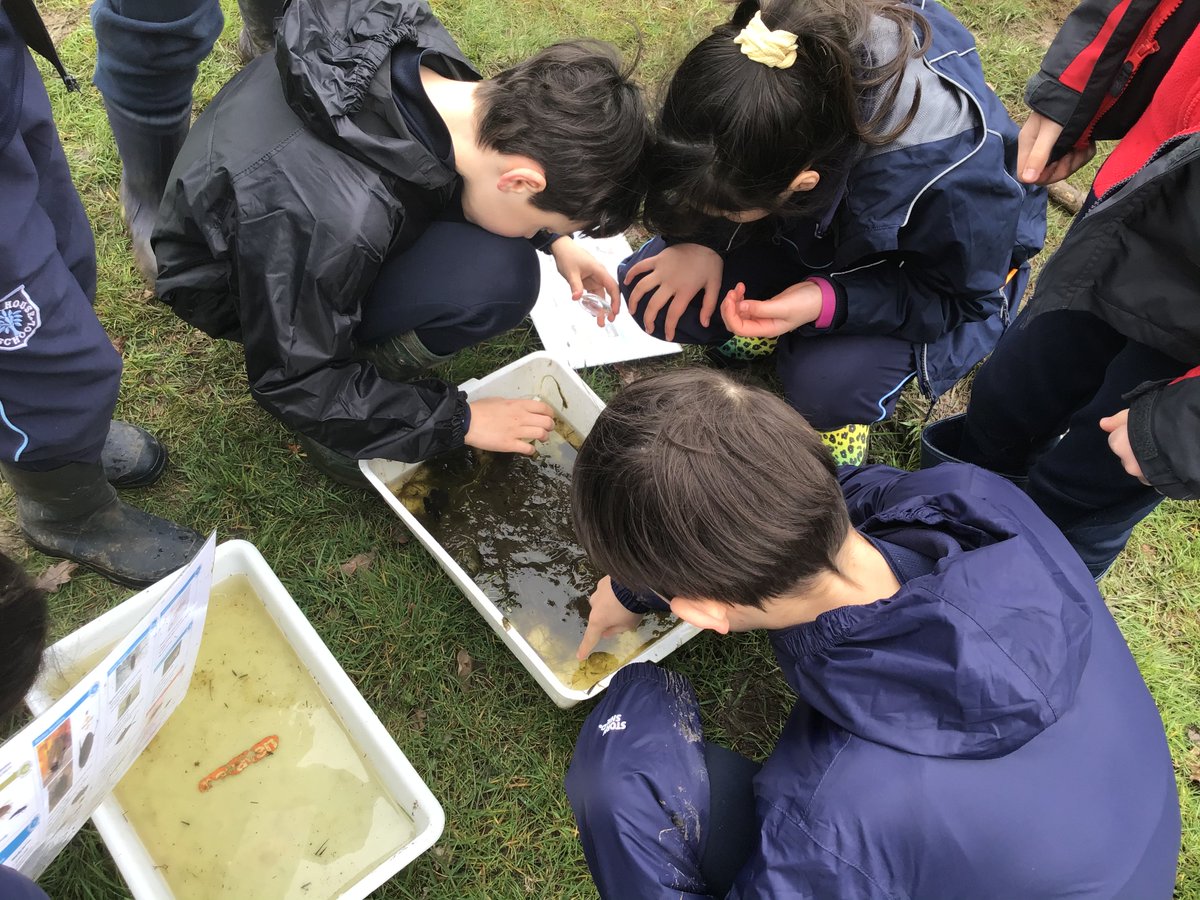 SchoolAvenue's tweet photo. Years 3-6 have been exploring the beautiful @PerivaleWood today and have enjoyed learning about the brilliant projects going on within the nature reserve. 🐜🐌🌲 https://t.co/rgtHUqtbio
