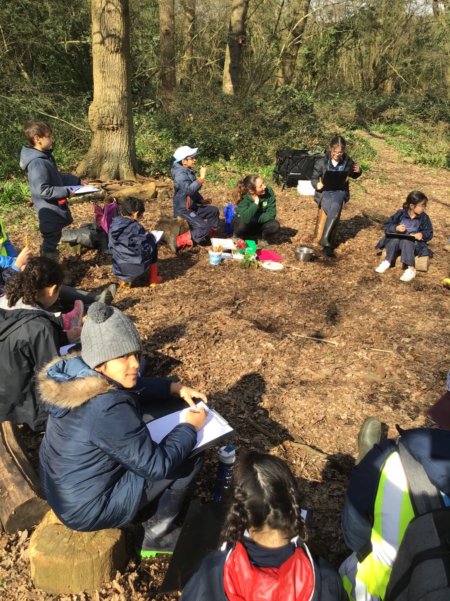 SchoolAvenue's tweet photo. Years 3-6 have been exploring the beautiful @PerivaleWood today and have enjoyed learning about the brilliant projects going on within the nature reserve. 🐜🐌🌲 https://t.co/rgtHUqtbio