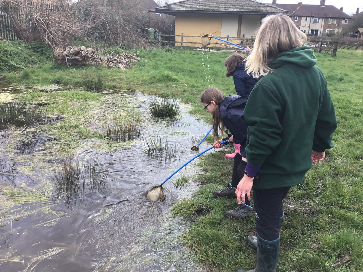 SchoolAvenue's tweet photo. Years 3-6 have been exploring the beautiful @PerivaleWood today and have enjoyed learning about the brilliant projects going on within the nature reserve. 🐜🐌🌲 https://t.co/rgtHUqtbio