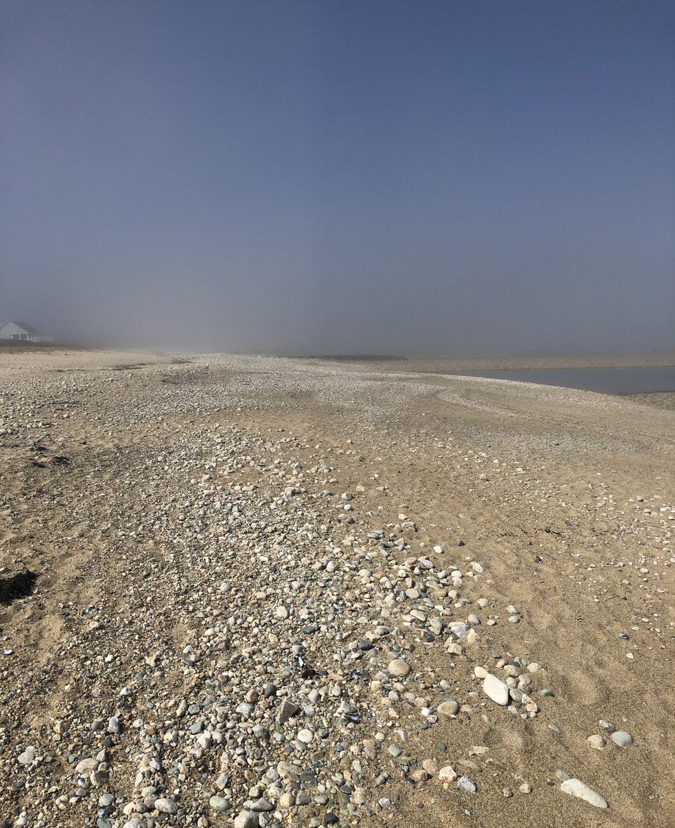 TheEightO2's tweet photo. @ericfisher heavy marine layer on Town Neck beach! Who’s going to win, sea breeze or sun? https://t.co/lq8KWy70Ko