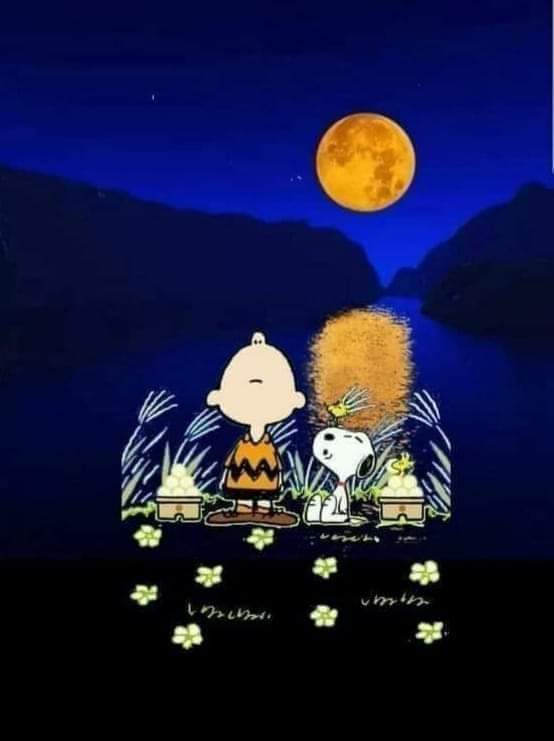 SabineCzaska's tweet photo. Wünsche euch allen einen schönen Abend. 😊😘 https://t.co/J9dO4elOWz