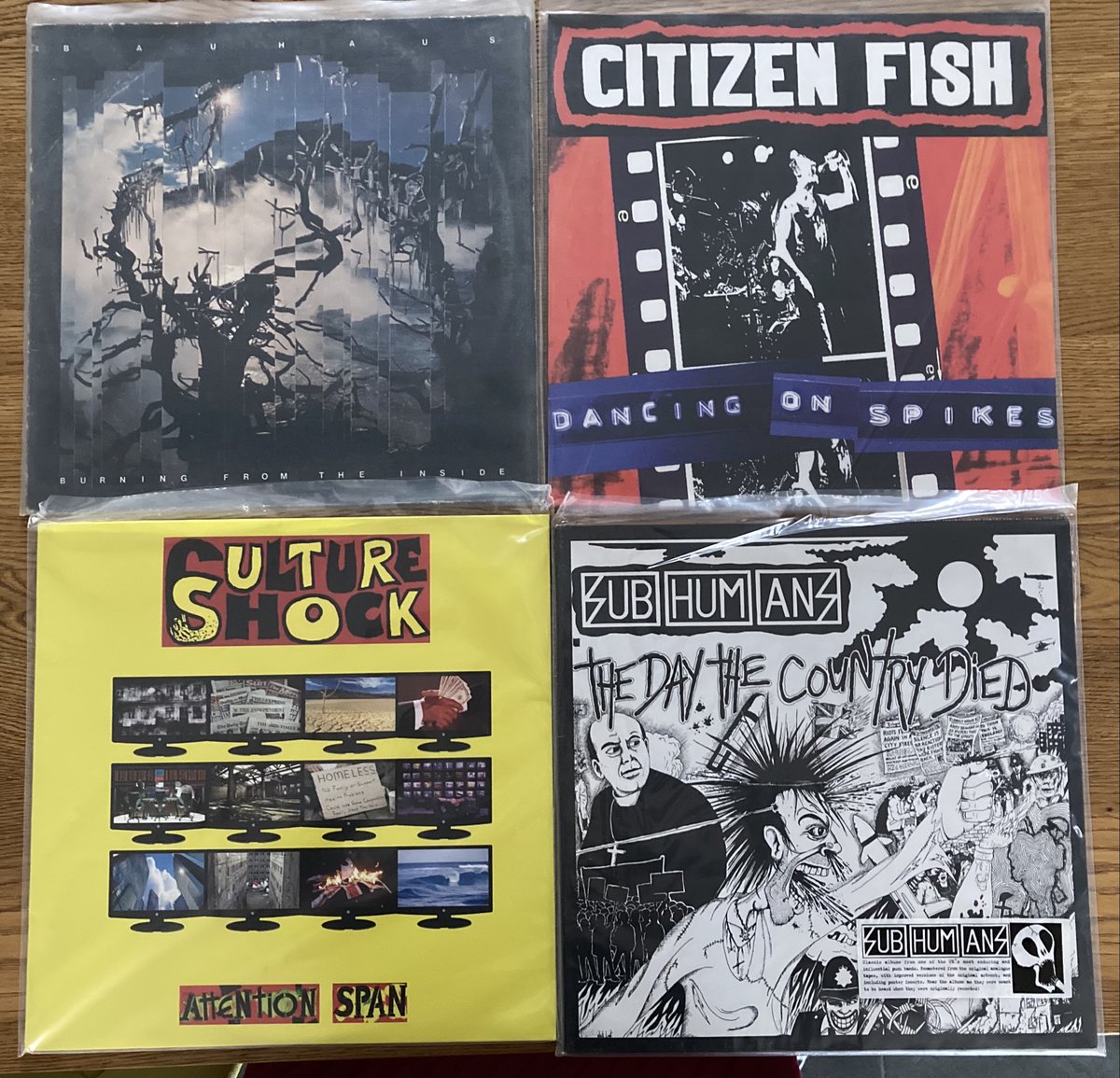 dominikpanek's tweet photo. Nowa dostawa winyli - aż sam sobie zazdroszczę, że będę słuchał takich cudeniek! #Bauhaus #Subhumans #Cultureshock #CitizenFish #punk #reggae #ska #coldwave #vinyl #vinylcollection https://t.co/K72jAJlj1U