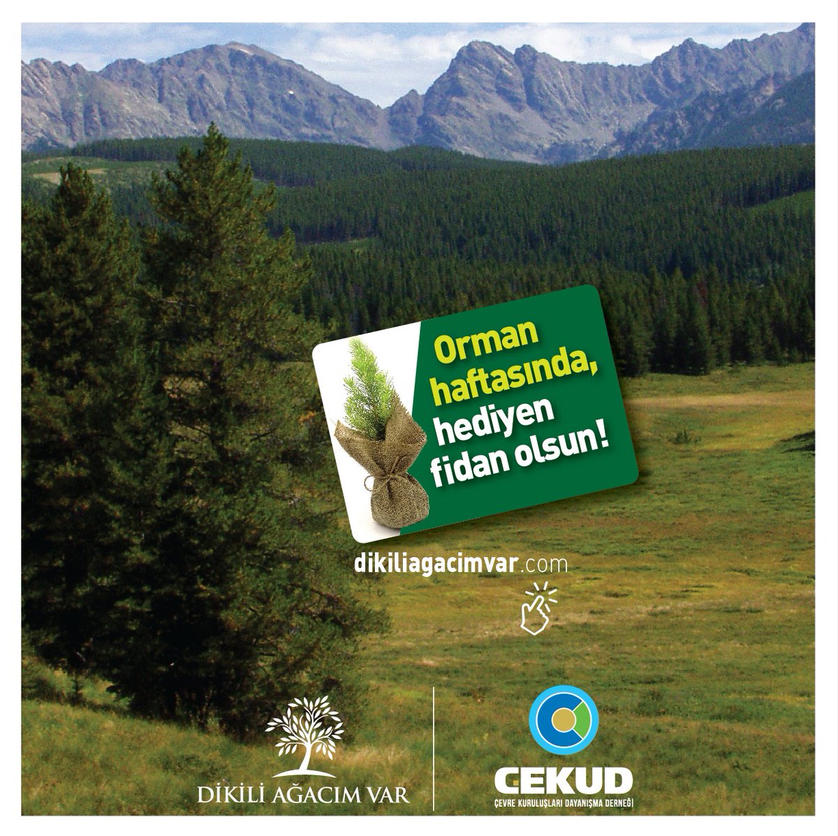 ceyad_01's tweet photo. Orman Haftasında, Hediyen Fidan Olsun
#OrmanHaftası #yesil #orman #yasam #hayat #gelecek #cekud #dunya #CEYAD
#CeyhunGsi
#OGM https://t.co/ABl72RvmVs