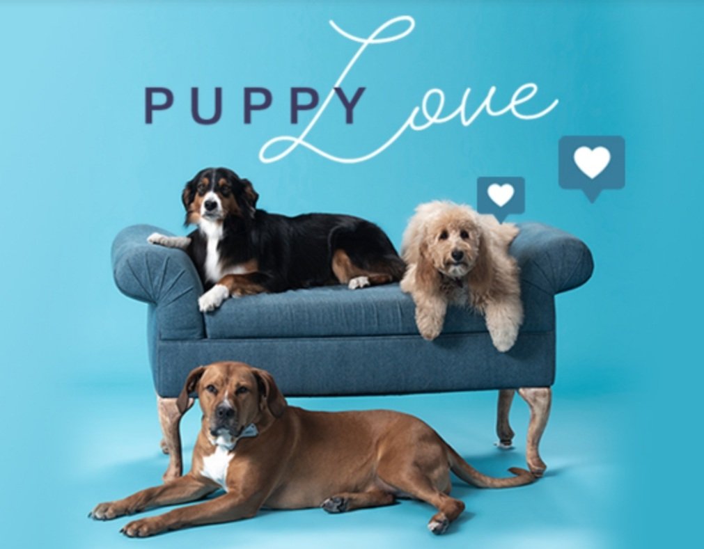 PRISLANDGIRLNY's tweet photo. Celebrate National Puppy❤Day with a tail-wagging🐕 BOGO!
TODAY ONLY!!!
Buy #MONATPET™ Gentle Cleansing Dog Wash and add MONAT PET™ Freshen Up Deodorizing Spray for FREE!(SAVE💰!!! SRP $22)
Available in the USA
❤Brand NEW packaging!❤
📦FREE SHIPPING!📦
While Supplies Last! https://t.co/AFiyBOuayJ