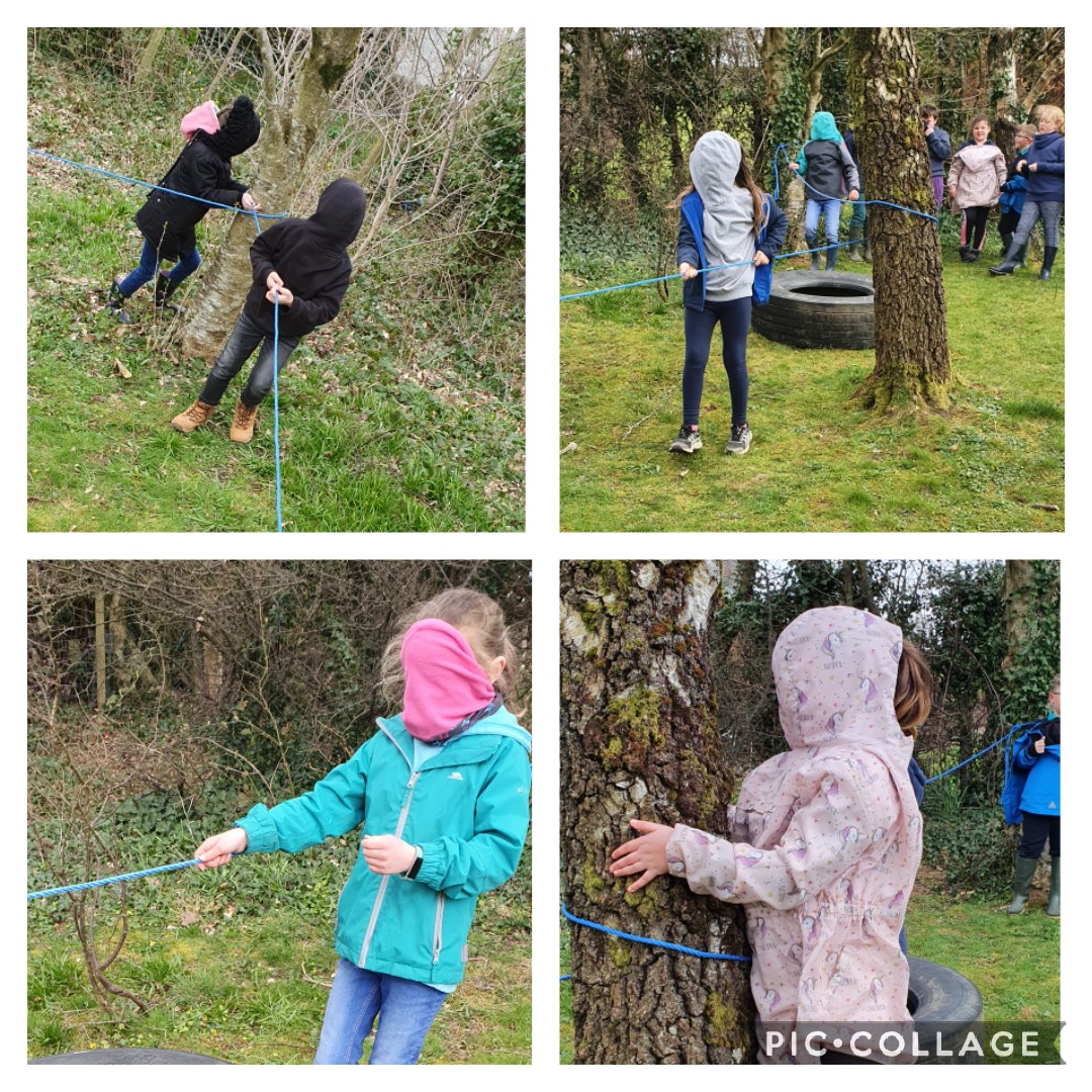 YLlanddoged's tweet photo. Dosbarth Carnedd Llywelyn yn 'Camu i'r Tywyllwch!' ac yn cael cyfnod o Feddwlgarwch yn yr awyr agored. #lles #codihyder #dewrder
Dosbarth Carnedd Llywelyn 'Stepping into Darkness' and making some time for Mindfulness in the outdoors. #wellbeing #increasingconfidence #bravery https://t.co/B724t3WYLY