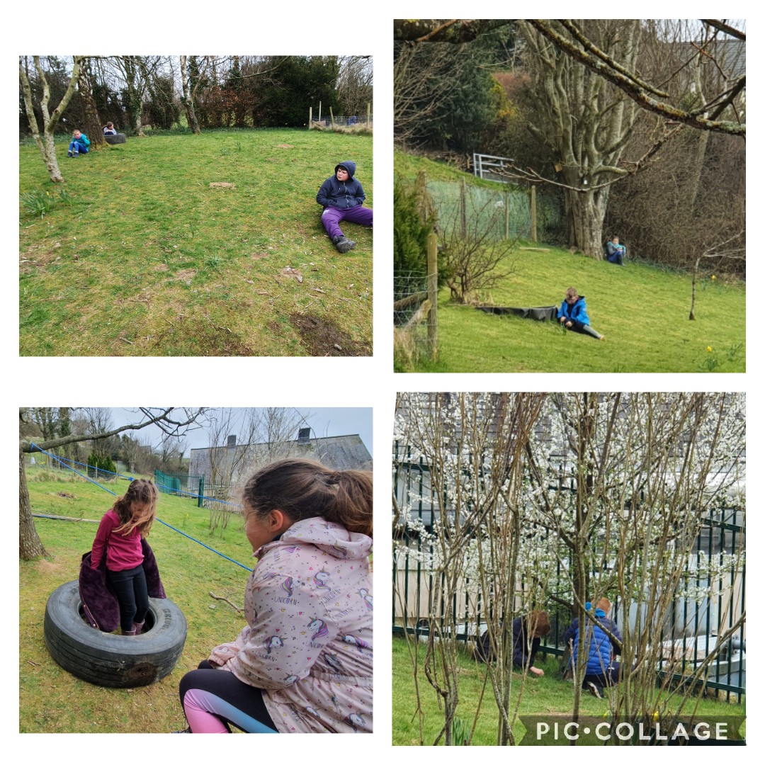 YLlanddoged's tweet photo. Dosbarth Carnedd Llywelyn yn 'Camu i'r Tywyllwch!' ac yn cael cyfnod o Feddwlgarwch yn yr awyr agored. #lles #codihyder #dewrder
Dosbarth Carnedd Llywelyn 'Stepping into Darkness' and making some time for Mindfulness in the outdoors. #wellbeing #increasingconfidence #bravery https://t.co/B724t3WYLY