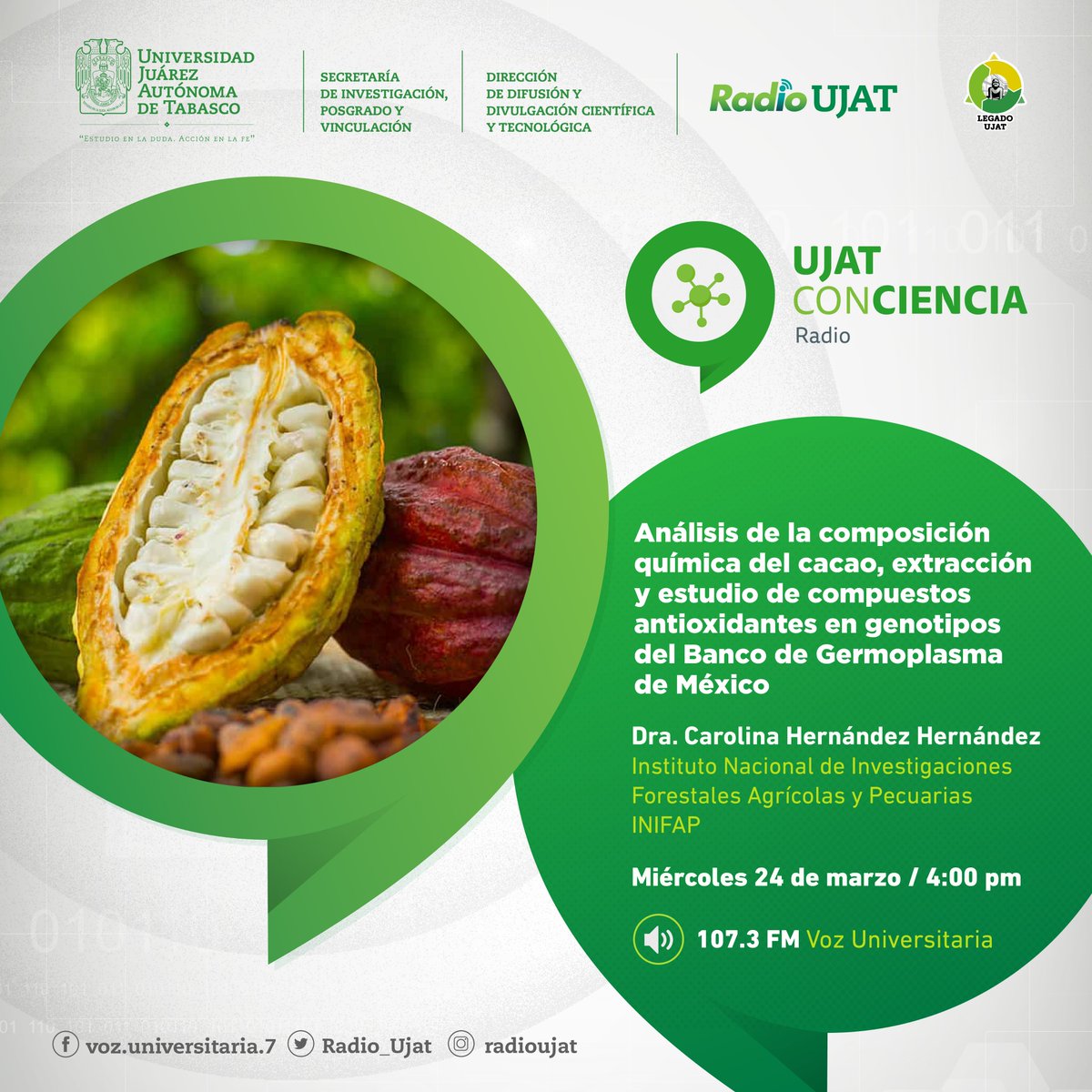 La Dra. Carolina Hernández del <a href="/inifap/">INIFAP</a> nos hablará sobre el Análisis de la composición #química del #cacao en el programa #UJAT ConCiencia #radio, a través de la frecuencia 107.3 FM Voz Universitaria. 🌳🧪🍫👇🏼

#CienciaJuchimán #cultivos #cacao #Tabasco #genotipos #agricultura