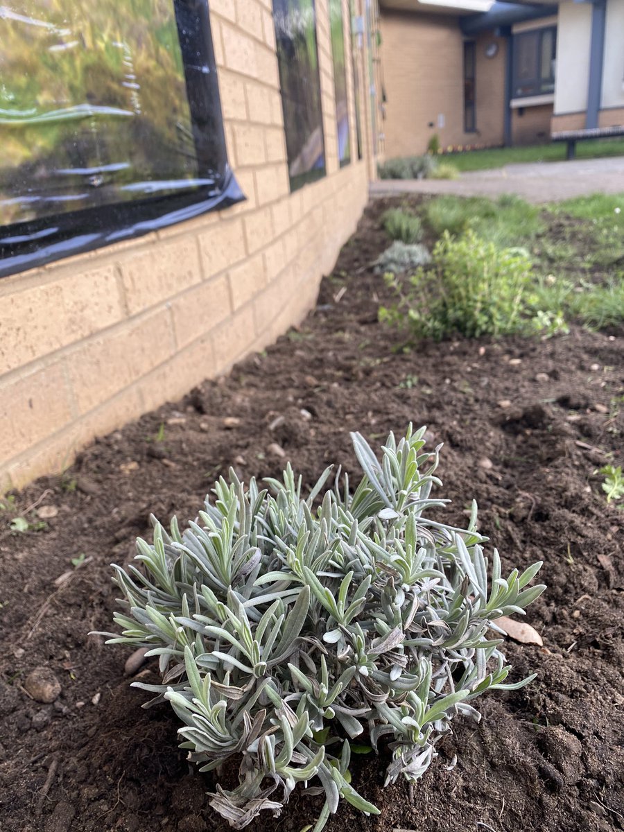 Ferns courtyard ready for the brighter weather thanks to the guys was keen to help and put in the hard work. Brilliant job! #teamfern #malementalhealth #groupwork #outdoors #gardening #SpringIsComing