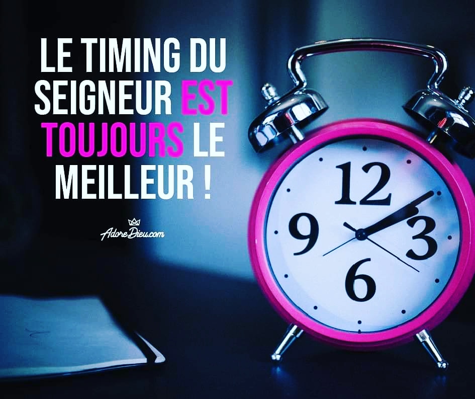 perlesdegrace's tweet photo. https://t.co/efgHBwwQ27