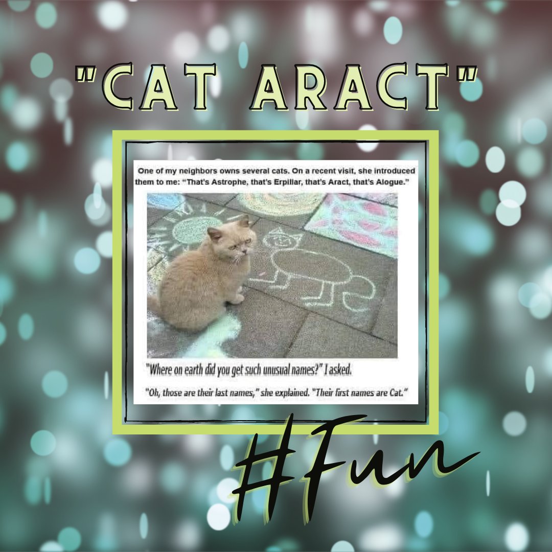 EyeInfo's tweet photo. We seem to enjoy cat jokes more than this little furry friend! Tag a friend who loves a good cat joke! πΉβ
β #Fluorescene #OD #vision #optometry #optometrist #eyedoctors #optometry #eyehumor #optometryjokes #eyecarehumor https://t.co/l6Gv9xD5CG