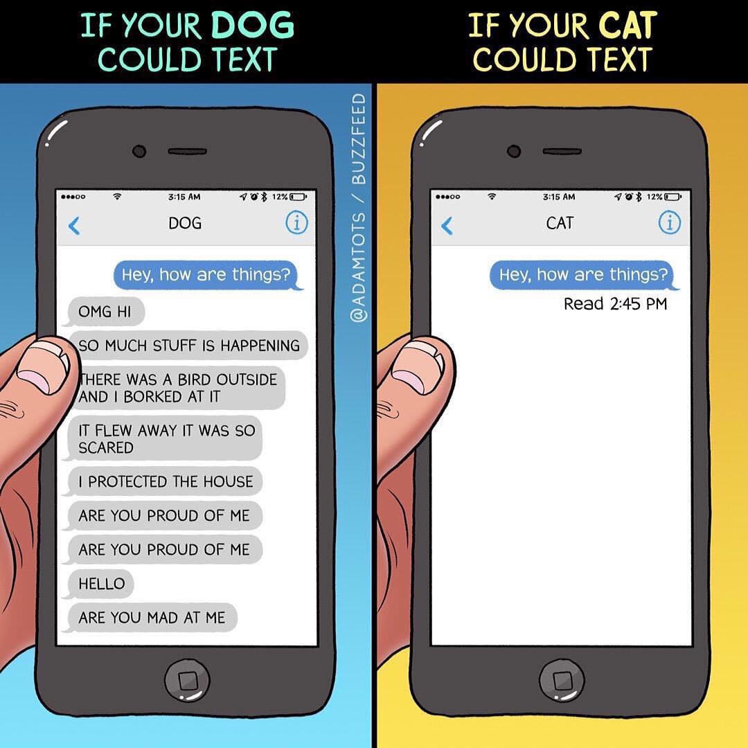 AaronJosephHall's tweet photo. Some humor in your feed. Retweet if you agree! ￼😂 https://t.co/1G1bwYecHd