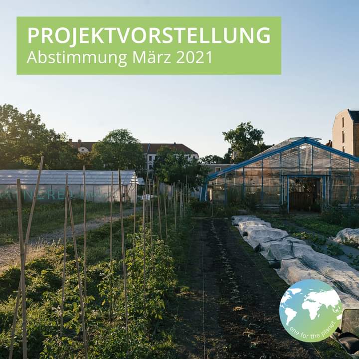 1fortheplanet's tweet photo. In Kürze steht die Abstimmung für März 2021 an. Diesen Monat können wir 1.250 Euro an eine Organisation ausschütten, die damit ein tolles Projekt umsetzen kann. Das erste der drei, die zur Wahl stehen werden, stellen wir heute vor! 🌱🌍
https://t.co/q8DOFKS3Zs

📸 Dominik Wolf https://t.co/LYe60AHQdr