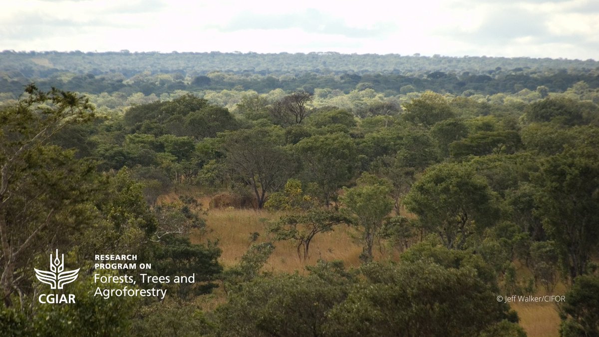 FTA Partnership tweet media