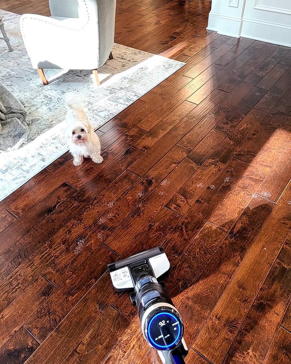 tinecoglobal's tweet photo. Puppies bring messes… FLOOR ONE S3 makes them disappear! 🐕 #nationalpuppyday
🧦 Enter to win a Tineco floor washer and #SaveTheSocks: http:https://t.co/QsoykrelRh https://t.co/kM8xmJVxKc