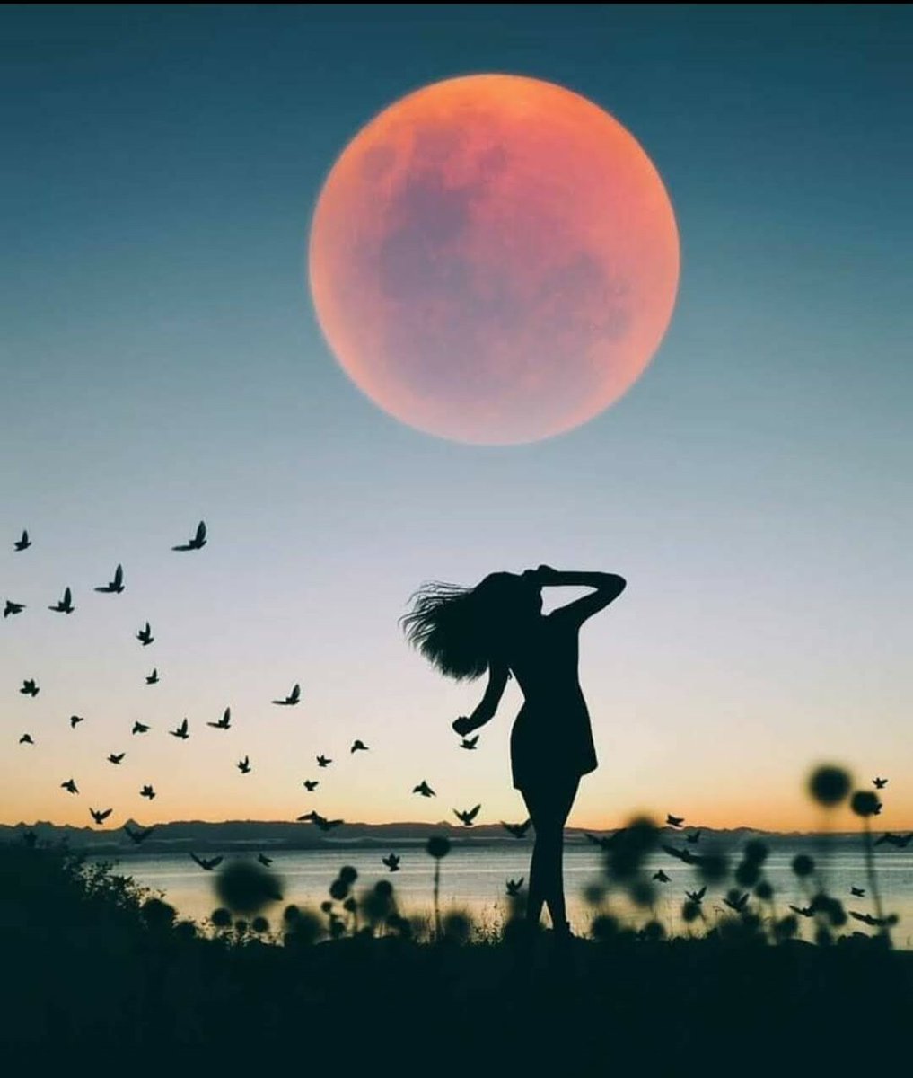 Wizarding naturalist(Magizoologist) /Charms Prof. 
Potions/Charms expert
Wonderful chief &amp; baker. 
All eras/ Crossovers welcomed! 
Discovering new magical creatures all over the world. 
Adopted by <a href="/SevSnape98/">Severus Snape ➐ Vampire Era</a> &amp; @KayVGreengrass 
&amp; @DungeonBatgit
Have tons of sibling's.
Admin is 30