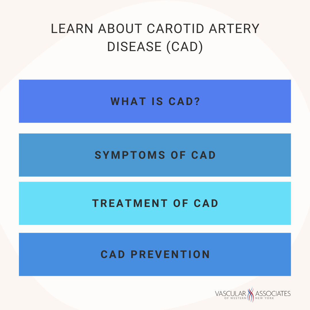 What exactly is carotid artery disease? Our blog explains what you need to know about CAD. 

Always speak to your doctor about any concerns.
bit.ly/3c1aDxG #WNYHealth #BuffaloHealth #CarotidArteryDisease