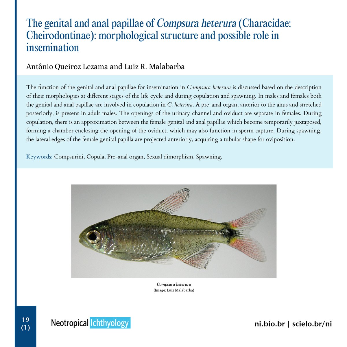 ni.bio.br/1982-0224-2020…
doi.org/10.1590/1982-0…