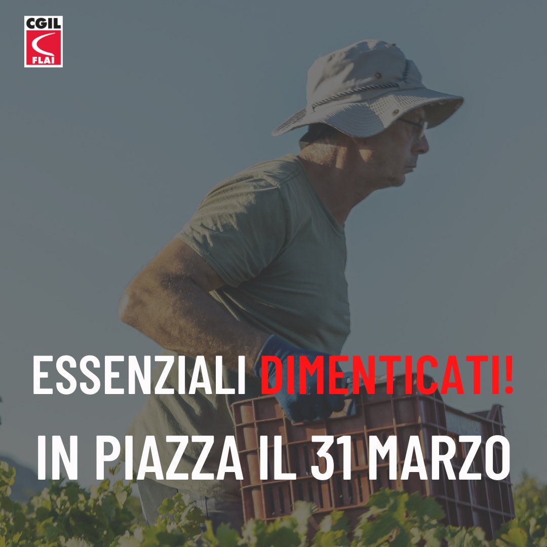 Gravi le discriminazioni a danno di un milione di #lavoratrici e #lavoratori #agricoli esclusi dal #decretosostegni.
Il #31marzo in piazza, davanti al Senato, per chiedere di modificare il decreto; sabato #10aprile davanti alle prefetture in tutta Italia.

bit.ly/31cAPQJ