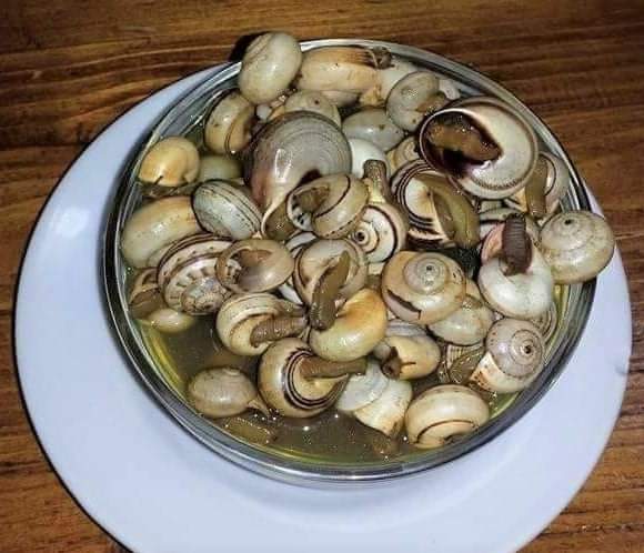 JohnsCornerJC's tweet photo. 💥 #Promociónmarzo2021: POSTRES GRATIS de martes a jueves CON TU PEDIDO A DOMICILIO 💥 ya huele a SEMANA SANTA en JONH´S CORNER 💥 recordaros que ya tenemos cuernos 🐌 GORDOS y chicos 🤣🤓

🌵🌶 #JohnsCornerADomicilio 📲🛵🎁🏡 
🌵 #JohnsCornerMontoro
🌍 #Montoro

📢 #MisAnuncios https://t.co/ncqMqHU2uE