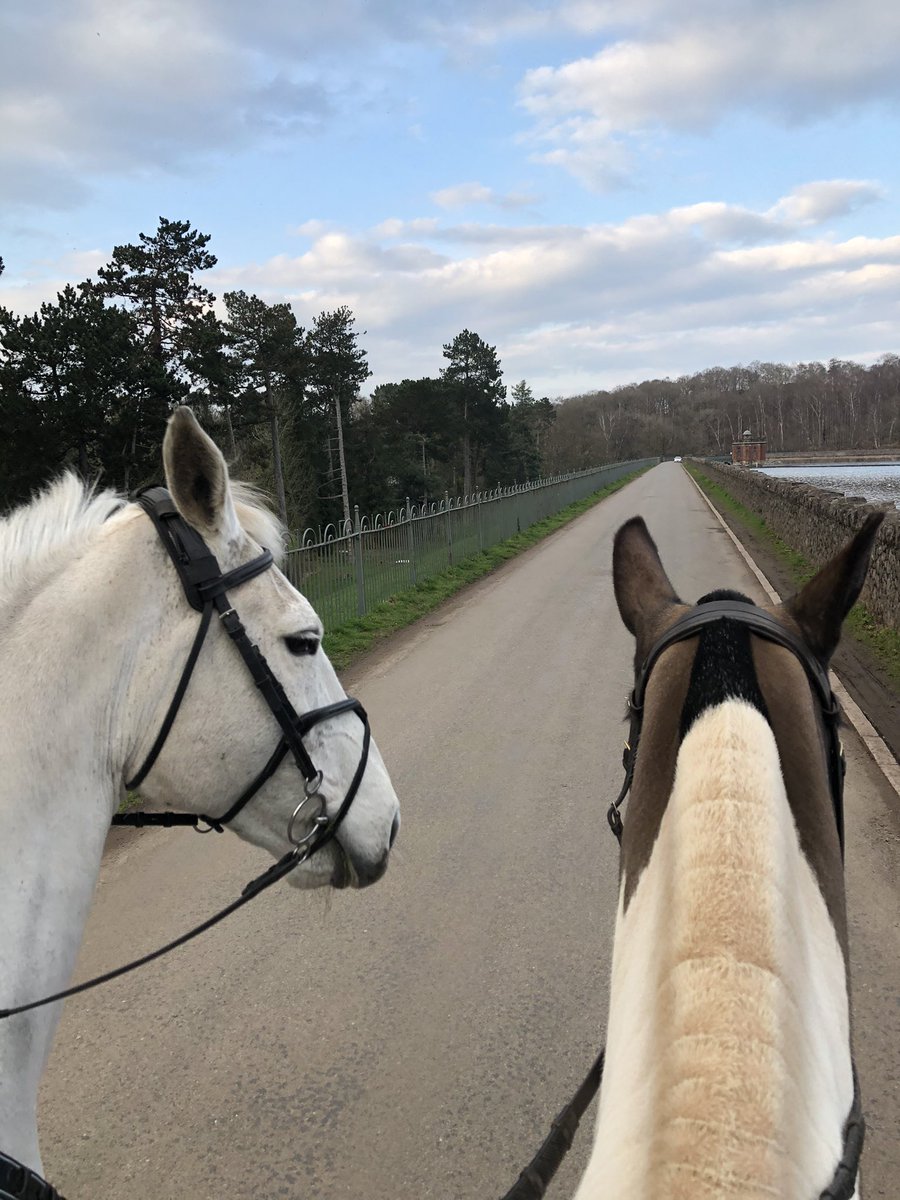 CC4329's tweet photo. Kinchley Lane all clear @CharnwoodPolice #ponypatrol https://t.co/lfX0i0zDbG