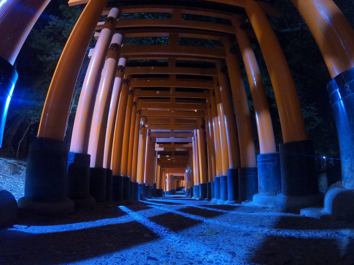 zg5np6TJwBeyqip's tweet photo. 2020/7/13
京都:伏見稲荷大社
📷:GoPro8
#京都 #伏見稲荷大社
#kyoto #千本鳥居
#A6000SONY #GoPro8black
#followme #photo_travel
#japan_travel
#弾丸旅行シリーズ
#写真好きな人と繋がりたい
#写真撮ってる人と繋がりたい
#一眼レフのある生活
#カメラを持って出かけよう https://t.co/Vqn2PRwymB