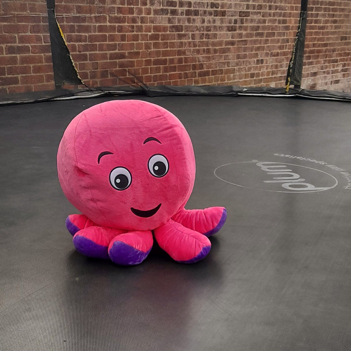 LingeSean's tweet image. Whats Constantine favourite film....
Octopussy  !
@octopus_energy