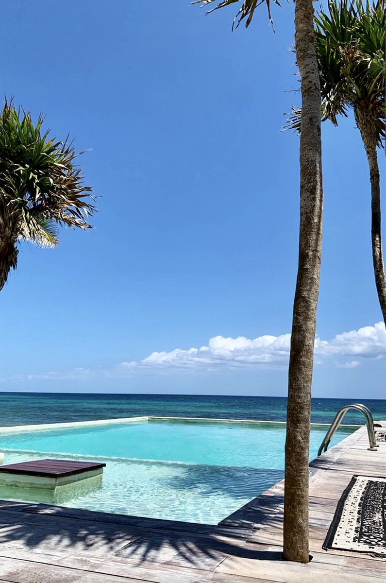 thepaoapp's tweet photo. 💎 of the day: Habitas Tulum, Mexico
• pao user: phaedra lavidas • 
#ThePaoApp #paoworthy #hiddengem #tulum https://t.co/0kuZ6n231l