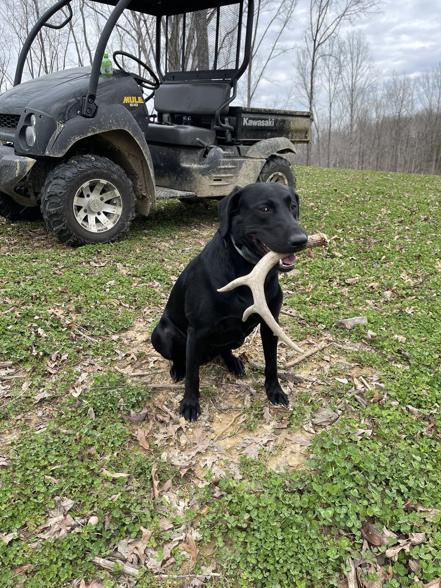 ToddL13's tweet photo. #6 for the year #sheddog https://t.co/SPXzJbfKKr
