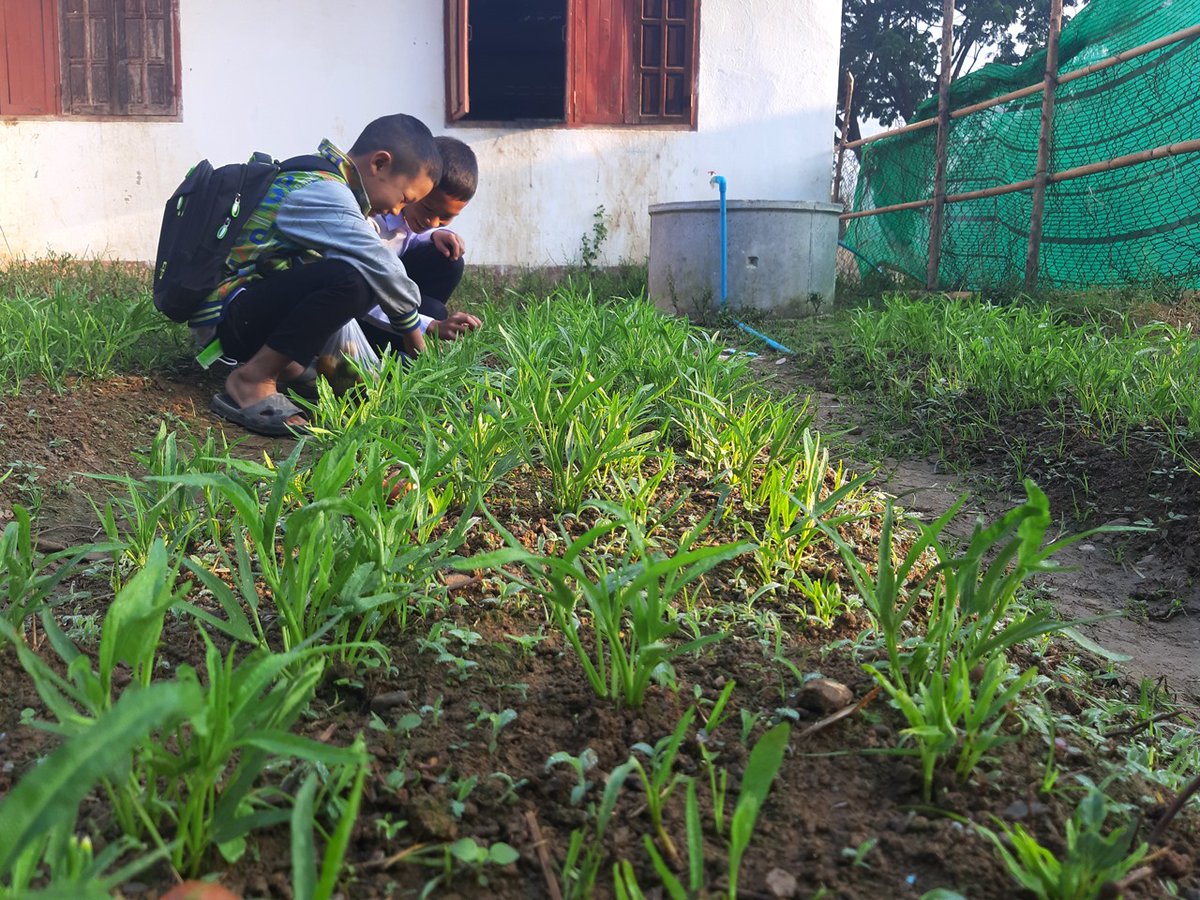 acteduc's tweet photo. #TuesdayClass : Les jardins scolaires 🌱
Au #Laos 🇱🇦, @aideetaction utilise le concept de l’apprentissage par le jeu afin de transmettre aux enfants des compétences importantes et nécessaires en dehors de la salle de classe. #LearningTroughPlay
©️Vithanya https://t.co/xAO5Rp9xok