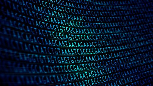 genome_gov's tweet photo. Genomicists have mastered sequencing DNA, but now the challenge is interpreting their findings. Genomic data science allows researchers to use computational and statistical methods to decode hidden information in DNA sequence data. https://t.co/M9VtMVXOLq